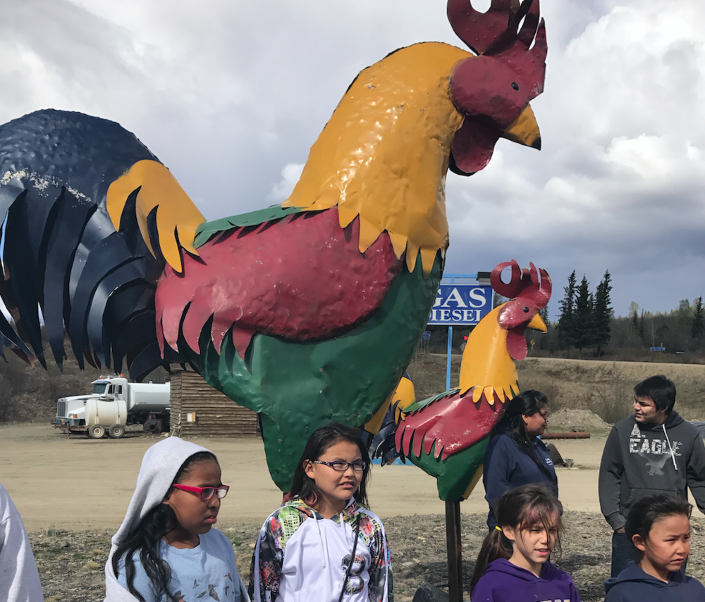 Northway Students Visit Chicken!