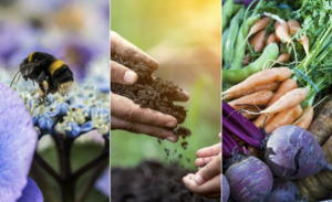 Greenhouse Summer Camp starts July 16