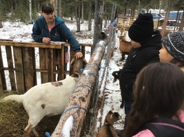 Visiting the Farm